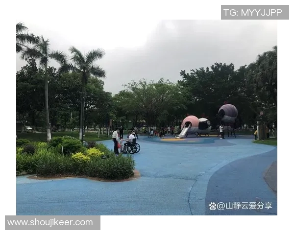 顶点户外体育用品助你畅享自然探险体验与运动乐趣的完美结合